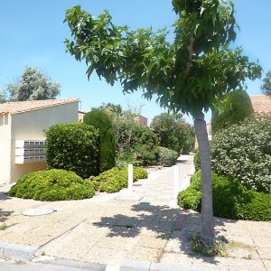 Les Leucatines 3