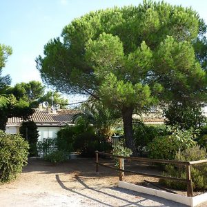 Les Maisons Du Cap